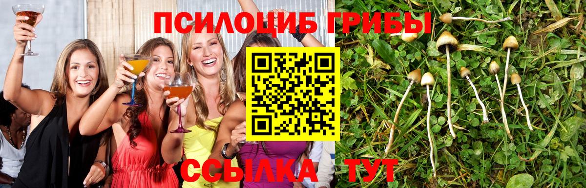 Галлюциногенные грибы прущие грибы Серов