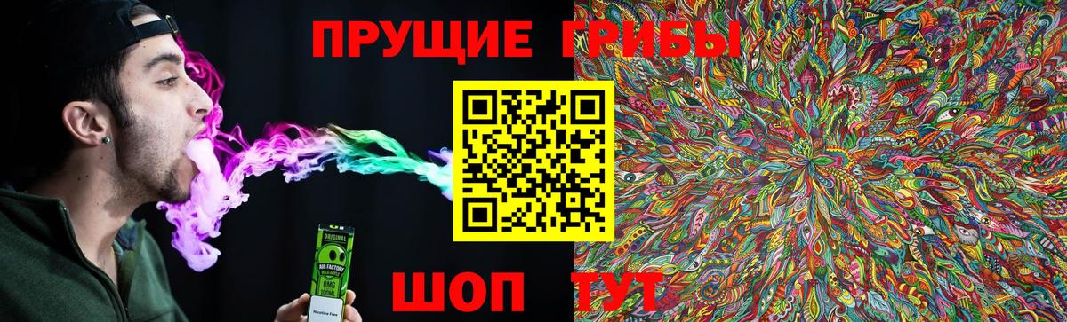 Серов  Галлюциногенные грибы Psilocybine cubensis  Вход с VPN  Псилоцибиновые грибы MAGIC MUSHROOMS 